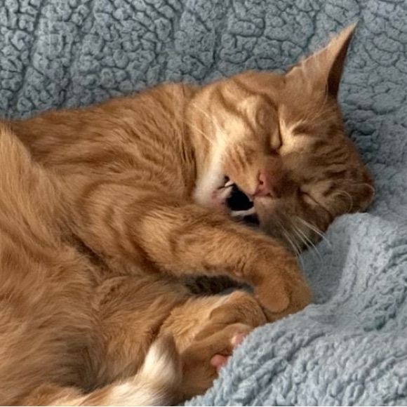 llcoolnap